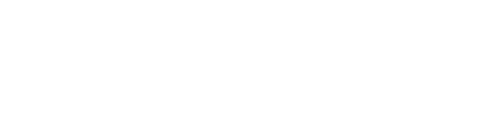 The A:P Room_Logo_White
